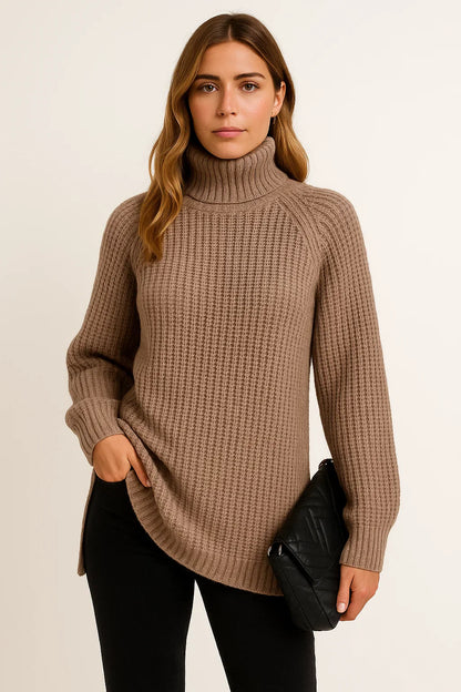 Women's Sweater Cotton-Polyester Roll Neck Relaxed Fit Casual