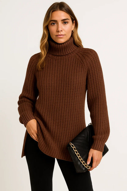 Women's Sweater Cotton-Polyester Roll Neck Relaxed Fit Casual